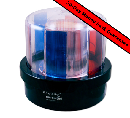 Bird Strobe Light Image Bird Strobe Light Image