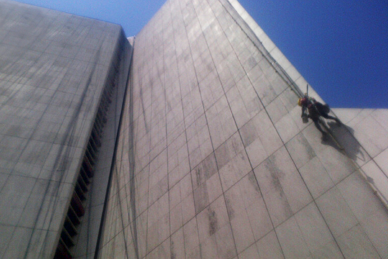 Bird-X Netting Solves Bat Problem at Major Hotel in Nigeria - Project Expansion Currently Underway