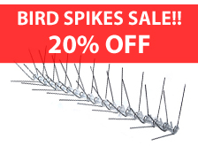 bird-spikes bird spikes ad