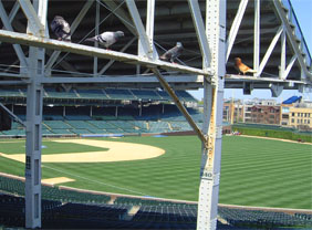 Super BirdXPeller PRO: Wrigley Field
