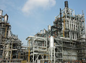 Chemical plant starlings