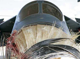 Bird Strikes Against Airplanes On The Rise? (VIDEO)
