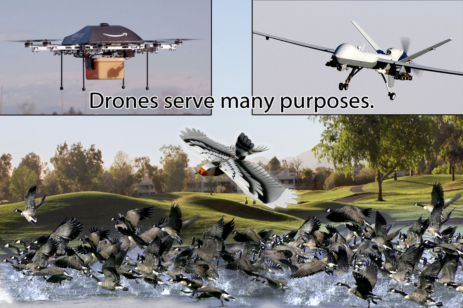 The New Amazon PrimeAir Drone Joins the Bird-X Drone on the Long List of Drones in Use Today