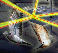 Bird Blazer deters birds in warehouse