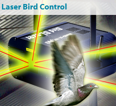 Laser Bird Control