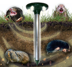transonic mole transonic mole