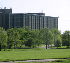 Corporate grounds perfect habitat for geese