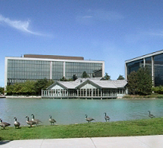 geese-corporate-property geese corporate property