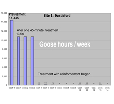 Goose research chart
