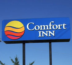 Hotel industry pest problems