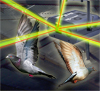 bird blazer laser beams