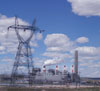 critter blaster power plant application