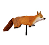 3D-Fox Image