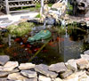 Gator Guard keeps birds away from pond