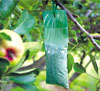 Nature's Defense deer repellent pack hanging on branch