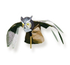Prowler Owl