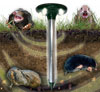 Transonic Mole deters burrowing creatures
