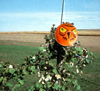 terror eyes agriculture