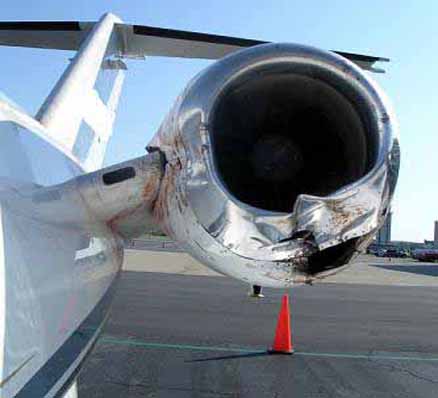 bird-strike-damage