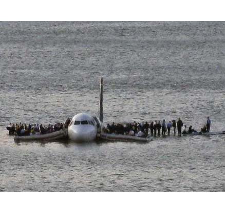 miracle-on-hudson-bird-strike