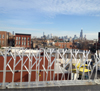plastic spikes parapet wall