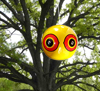 scare eyes tree application