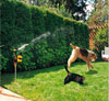 Hydroblast Scarecrow deters dog in yard