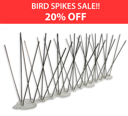 Extra Tall Stainless Spikes Image Extra Tall Stainless Spikes Image