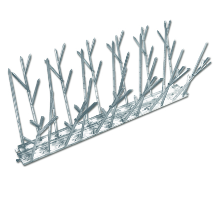 Bird Spikes: Polycarbonate Image