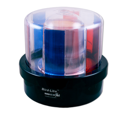 Bird Strobe Light Image Bird Strobe Light Image