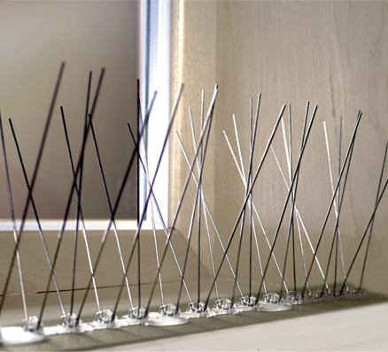 extra tall spikes window sill extra tall spikes window sill