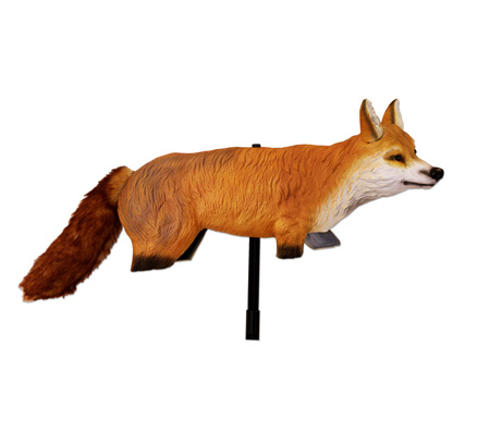 3D-Fox Image