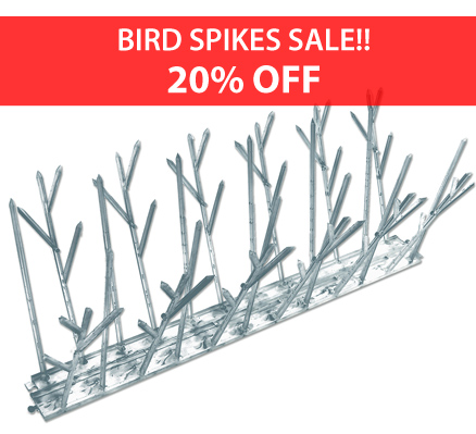 Plastic Spikes Image Plastic Spikes Image
