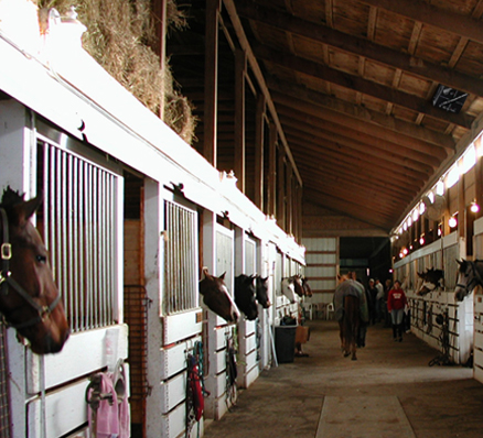 QuadBlaster stables QuadBlaster stables