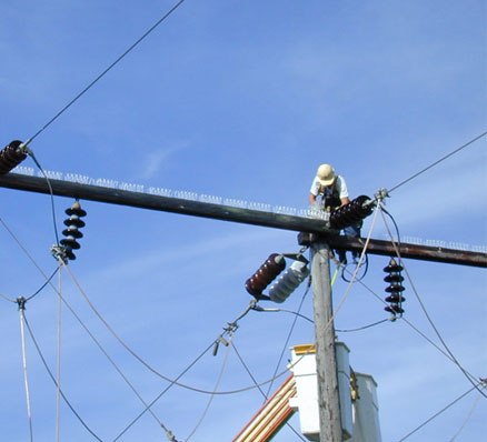 Spikes ulility pole installation