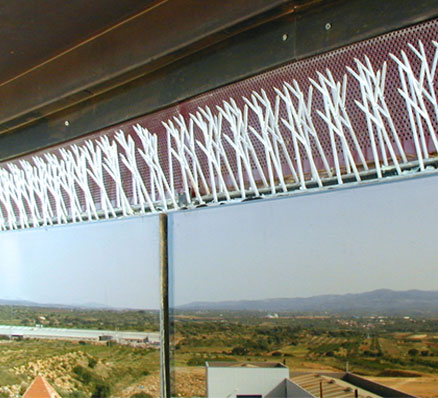 Spikes window application