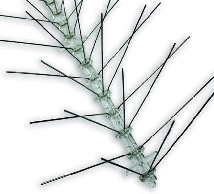 Bird Spikes: Stainless Steel Image