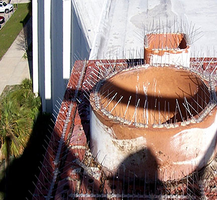 stainless steel spikes chimney application stainless steel spikes chimney application