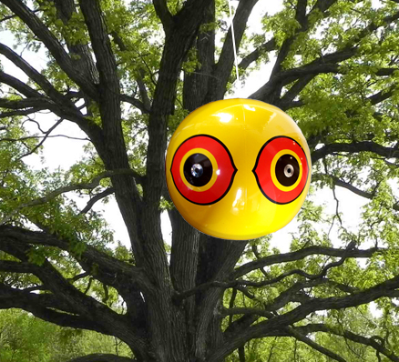 scare eyes tree application scare eyes tree application