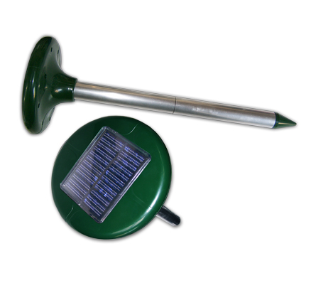 Transonic Mole Image