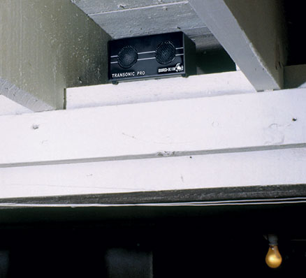 Transonic PRO keeps bats out of rafters Transonic PRO keeps bats out of rafters