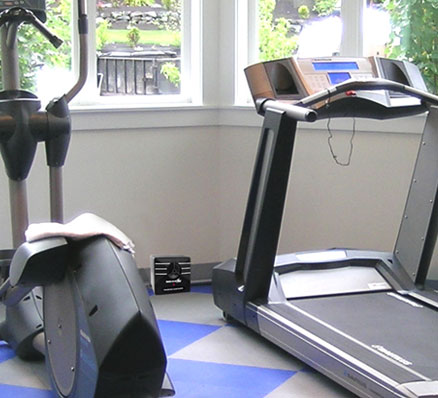 Transonic Bugchaser gym application