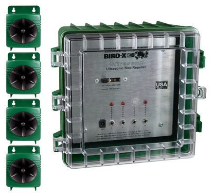Ultrason X Image Ultrason X Image