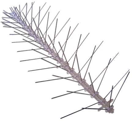 stainless steel bird spikes stainless steel bird spikes