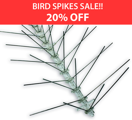 Stainless Steel Spikes Image Stainless Steel Spikes Image