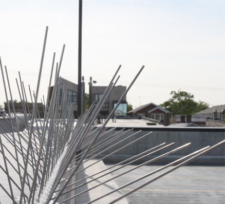 stainless steel spikes rooftop ledge stainless steel spikes rooftop ledge