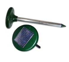 Transonic Mole Transonic Mole