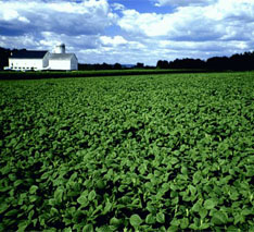Agriculture