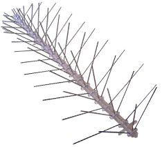 GSA bird spikes stainless steel