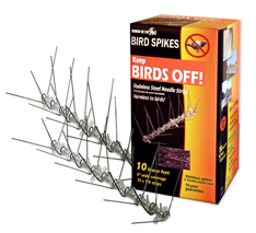 stainless-steel-spikes-retail Stainless Steel Spikes for retail